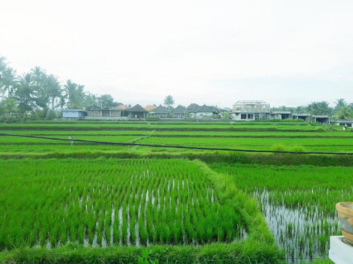 Tantra House Ubud מראה חיצוני תמונה